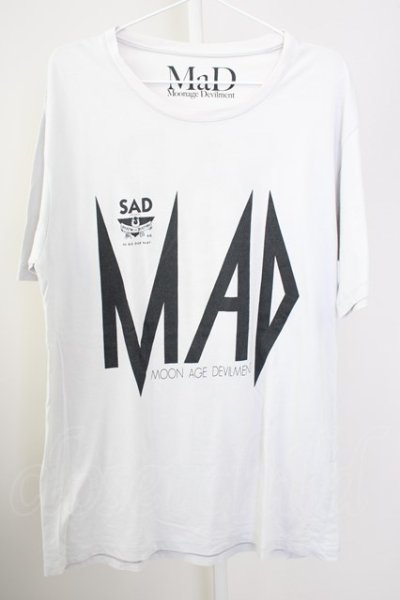 画像1: Moonage Devilment（清春） / ×THRASHERコラボ 「MAD」 BIG-Tシャツ F ライトグレー T-24-09-13-009-MO-ts-YM-ZT190