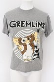 画像1: DIRT 100% Natural Dirty / Tシャツ Gremlin S グレー O-24-09-15-052-DI-ts-YM-OS (1)