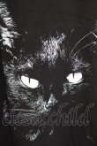 画像6: MARDI GRAS / MARDI GRAS　CAT　Tシャツ F ブラック T-24-07-10-028-MA-ts-YM-ZT410 (6)